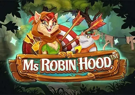 Ms. Robin Hood™ screenshot